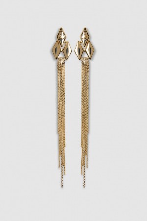 Patrizia Pepe Brass Pendant Earrings Gold | GPBWIV-708