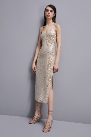 Patrizia Pepe Hand-embroidered Tulle Dress Beige | ZFAXIR-524