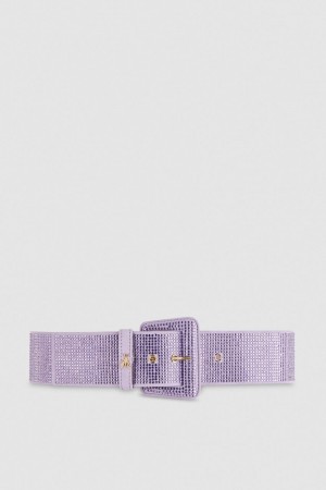 Patrizia Pepe High-waisted Belt With Rhinestones Rosa | GDLHUB-681