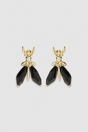Patrizia Pepe Precious Fly Earrings With Stones Schwarz | QTGLJO-712